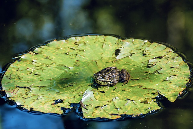 50% Off Your First Restoration Service – Expert Pipe Burst Mitigation in Coral Springs!