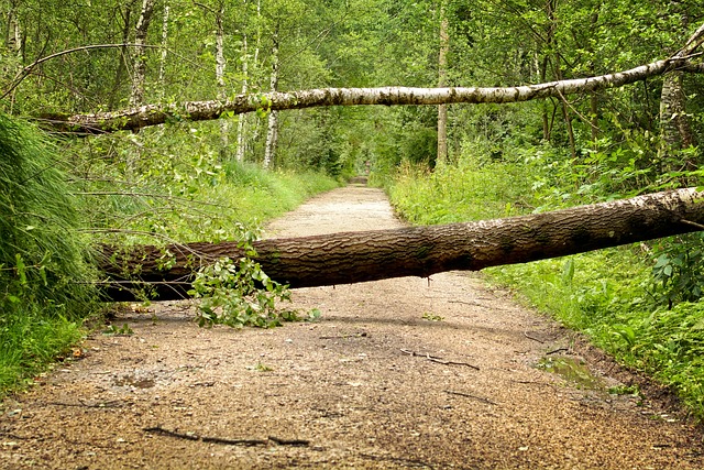 24/7 Emergency Flood Cleanup in Boynton Beach: Prevent Burst Pipe Damage & Save Now!