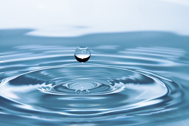 Revive Your Home: Fast, Reliable Standing Water Cleanup in Sunrise, FL