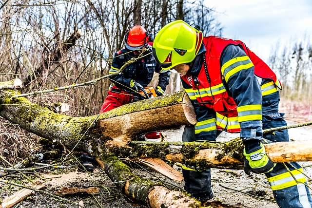 Coral Springs: Swift Pipe Burst Cleanup – Save Money, Protect Your Home!