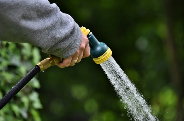 Boynton Beach’s Top-Rated Ceiling Water Damage Restorers: Save Money, Get a Fresh Start