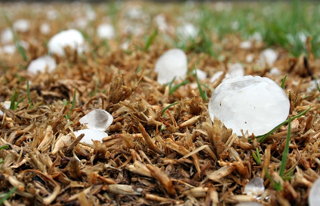 Dry Your Hardwood Fast & Save in Boynton Beach – Water Damage Restoration Experts!