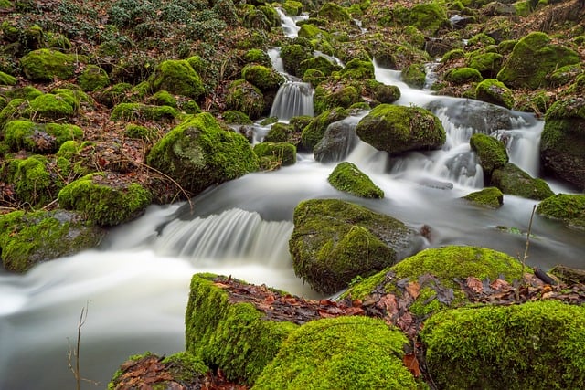 Revolutionize Flood Cleanup: Save Costs, Protect Your Riverview Home!