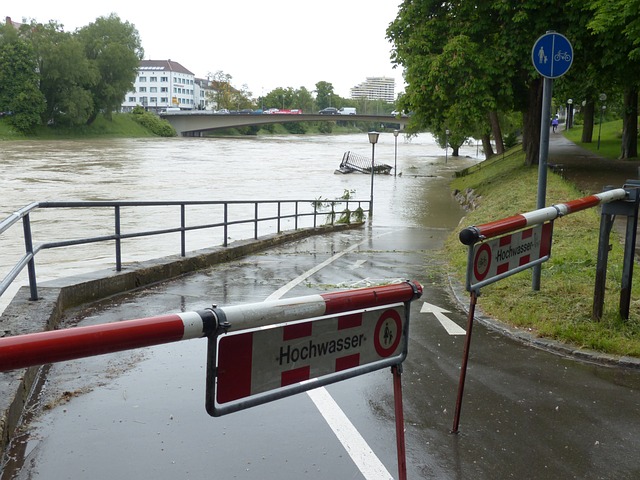 Riverview Water Damage? Free Inspection, Expert Repairs, Save Now!