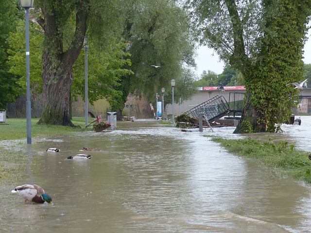 water damage