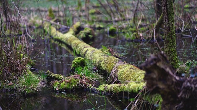 Rapid Boynton Beach Sewage Backup Cleanup: Save Your Home & Money!