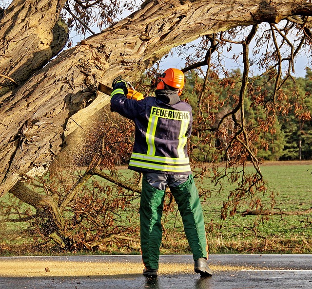 Sunrise Water Damage Company: Same-Day Repairs, Big Savings!