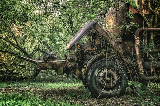 Coral Springs’ Top Choice: Revive Water-Damaged Wood Floors – Free Estimate!