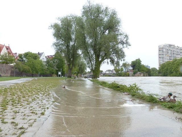 water damage service