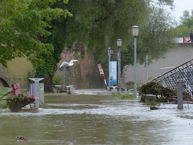 Riverview’s Top Water Damage Cleaners: Save Money, Get Fast Restoration!