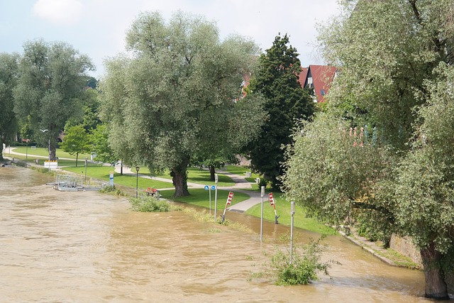 Riverview Flood Cleanup: Prevent Costly Ceiling Damage with Expert Dehumidization